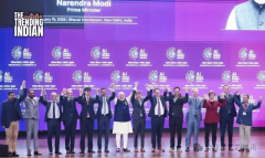 ”并指出印度可操纵农业和创意财产的国